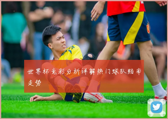 世界杯竞彩分析详解热门球队赔率走势