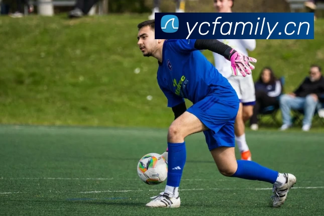 App Interface Preview